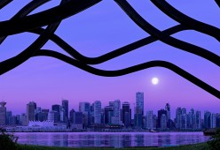 2026世界杯后的美加墨：球场怎么用？，美加墨世界杯比赛时间