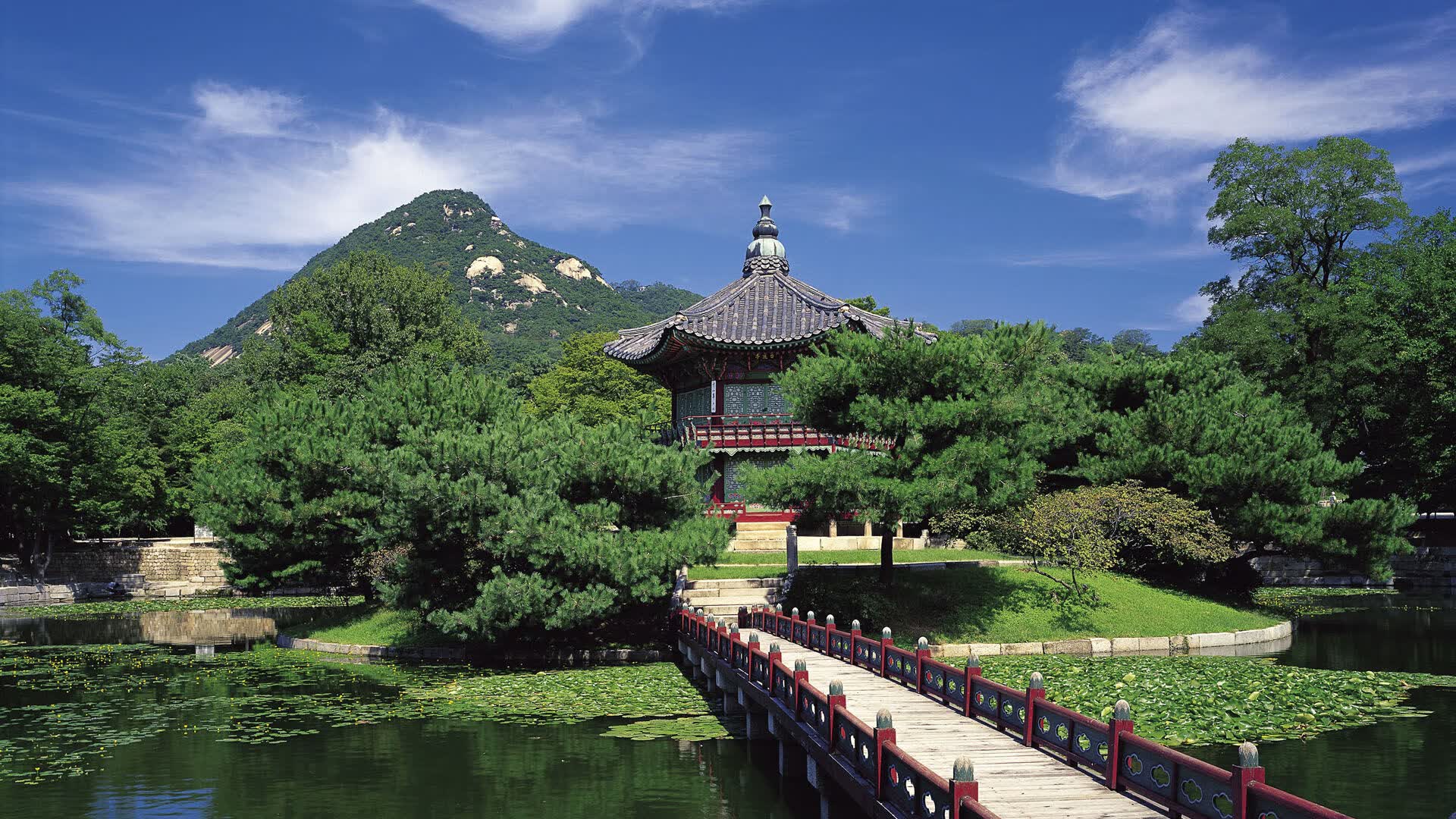 世界攀岩场馆会员活动产品化运营模式研究,攀岩项目介绍